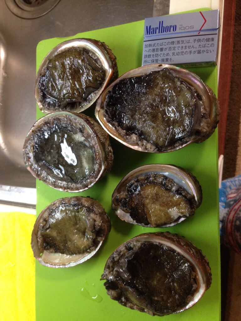 楽天市場 土日祝日も営業 送料無料 三重県産食べ比べ 活あわび 白黒 2 3枚 500g入り 漁師直送 律丸 あわび アワビ 白鮑 黒鮑 律丸 りつまる みんなのレビュー 口コミ