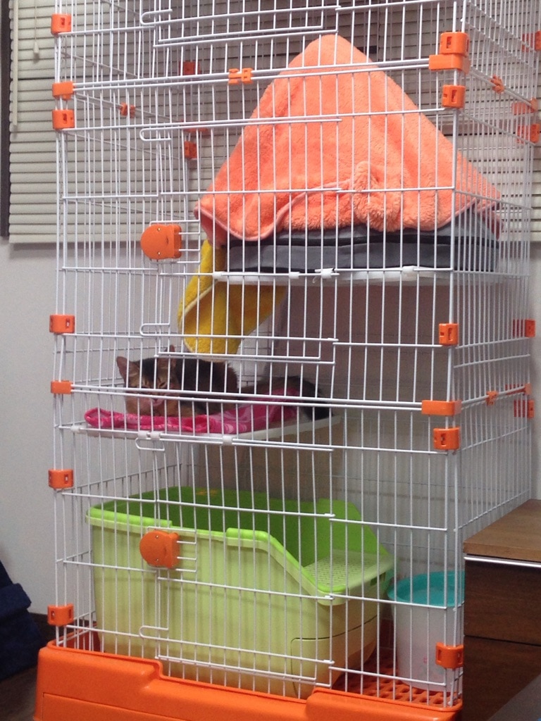 キャットケージ 3段 ステップ台 棚板付き 猫 子猫 ケージ 引き出しトレー ペットケージ ケージ ゲージ 猫 保護猫  キャットケージ 猫ケージ口コミ 3段ケージレビュー レビュー画像13