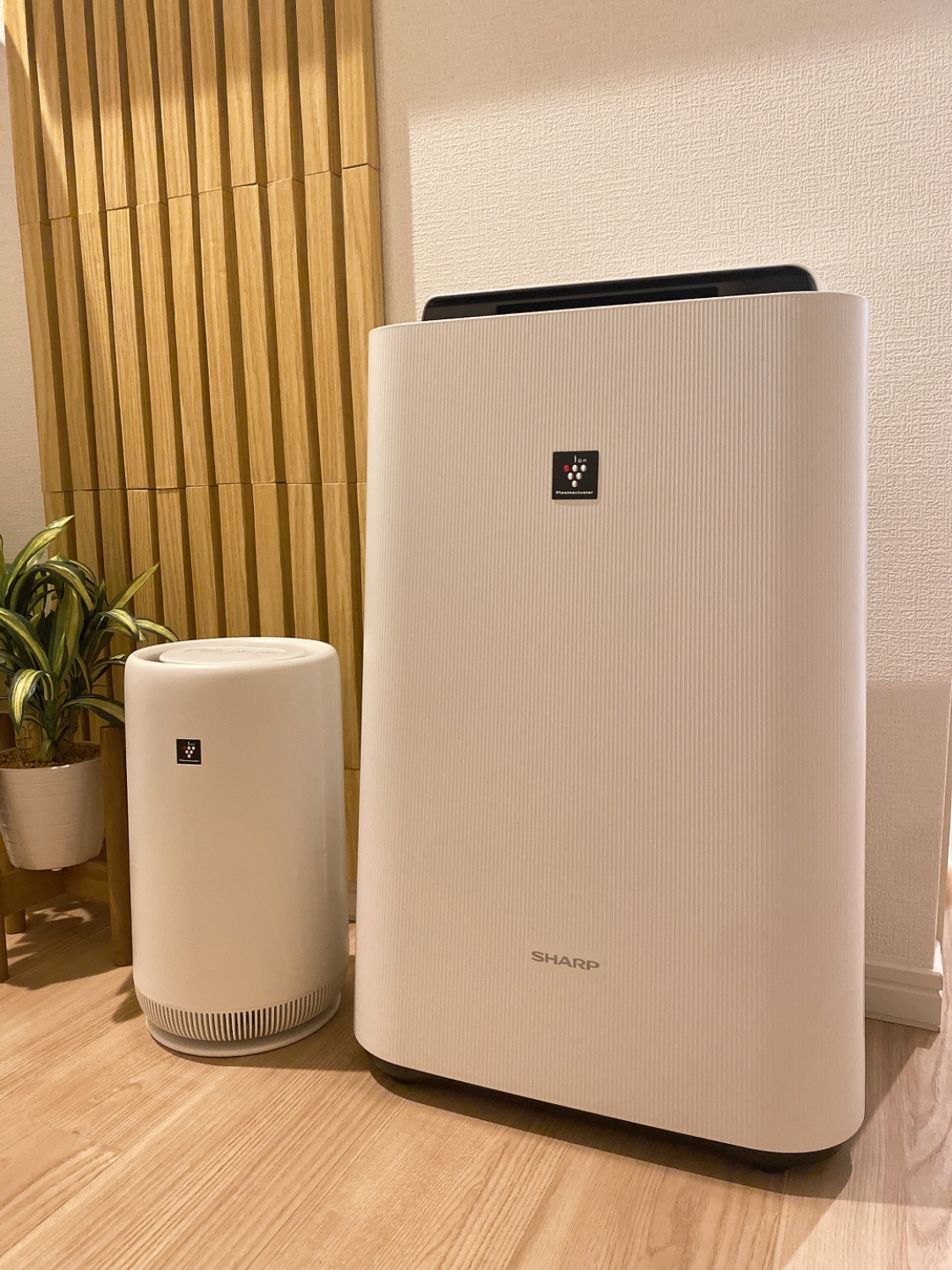 楽天市場】空気清浄機 加湿空気清浄機 シャープ KC-S50-W