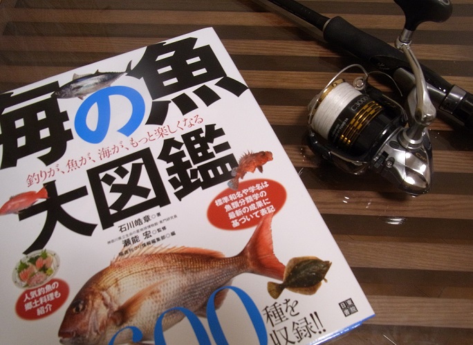 海の魚大図鑑 : 釣りが、魚が、海が、もっと楽しくなる 海の魚大図鑑 : 釣りが、魚が、海が、もっと楽しくなる(石川皓章