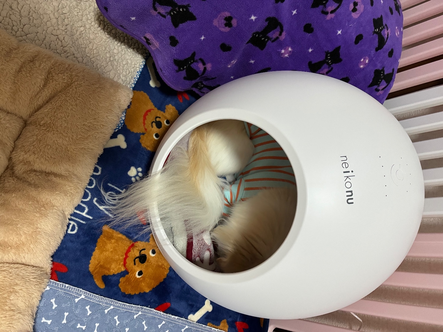 楽天市場】【10%OFFクーポン】 neikonu ROOM ネイコヌ ルーム 床 暖房