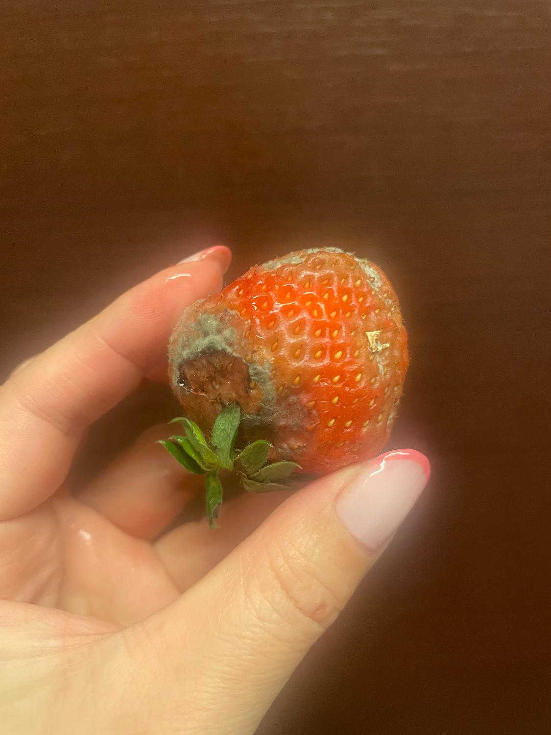 ふるさと納税 あまおう いちご レビュー画像10