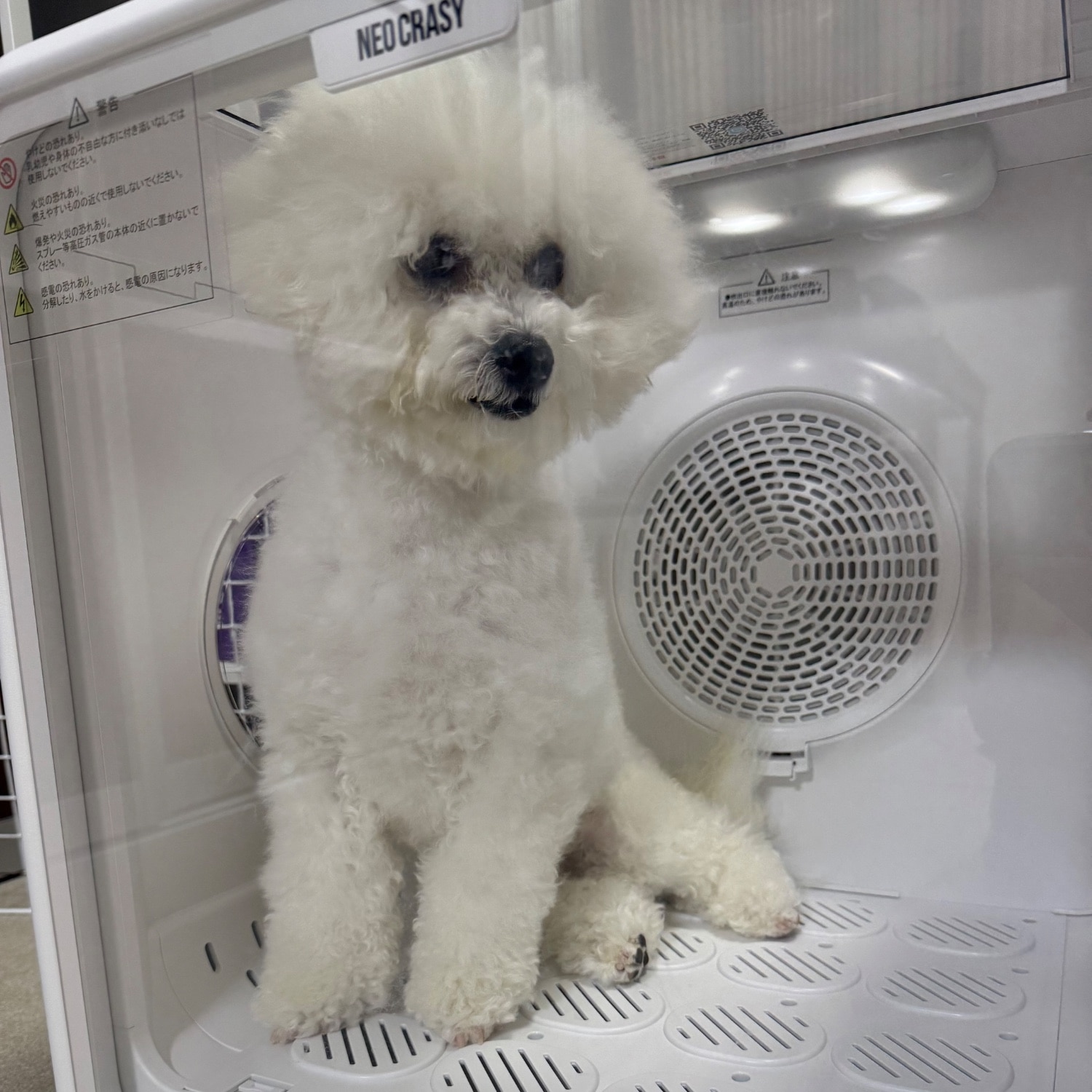 美品 元箱付きNEO CRASY ペット用ドライヤー 72L ペットドライヤー