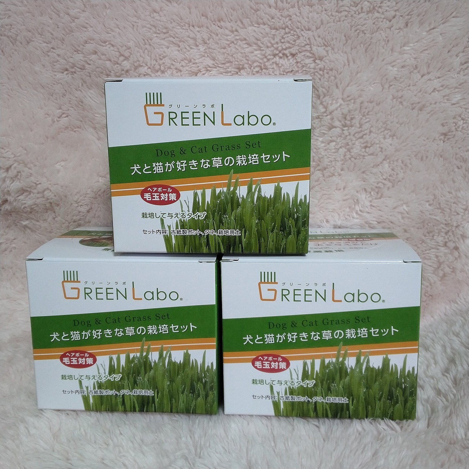 楽天市場 エイムクリエイツ 犬と猫が好きな草 栽培セット ペットグラス 猫草 猫用品のゴロにゃん 楽天市場店 みんなのレビュー 口コミ
