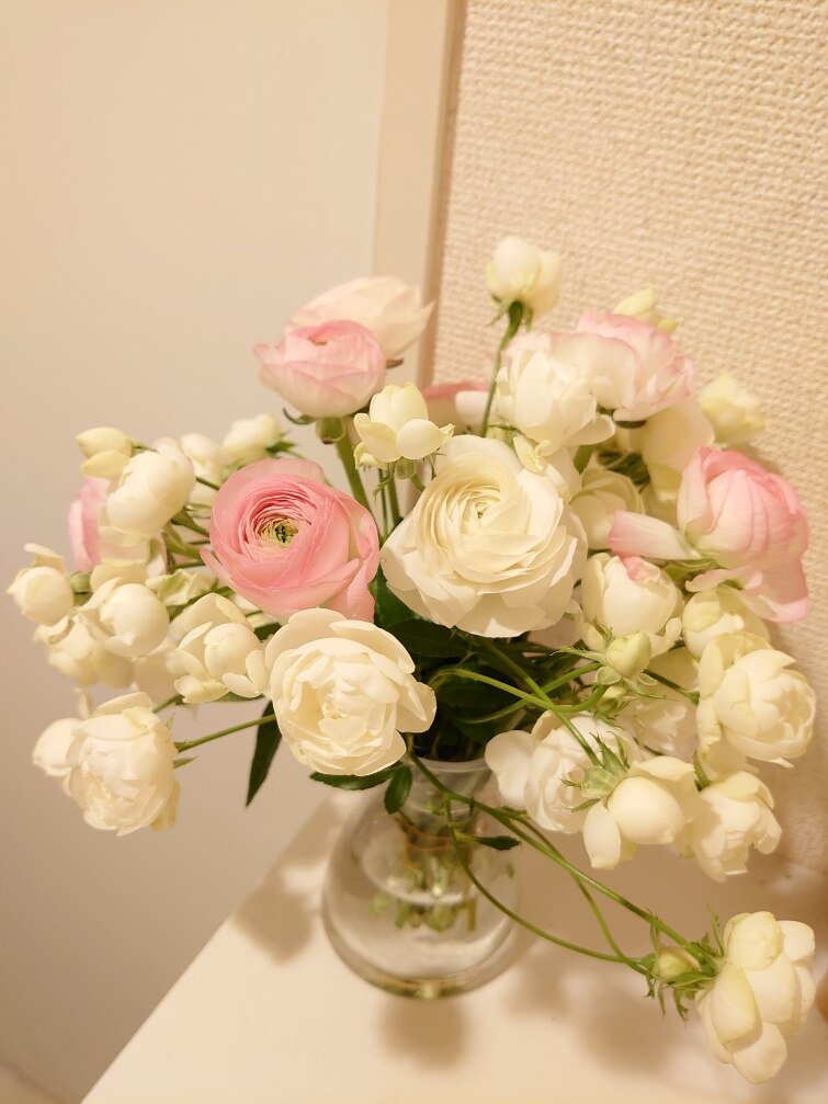 楽天市場 生花 切り花 切花 生花 ラナンキュラス 複色系 小春てまり 40cm Ja三豊 Ot 10本 花材通販はなどんやアソシエ 未購入を含む みんなのレビュー 口コミ