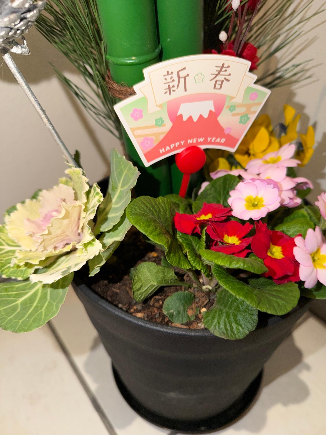 楽天市場】正午までのご注文で まだ間に合う【年内お届け】※一部地域を