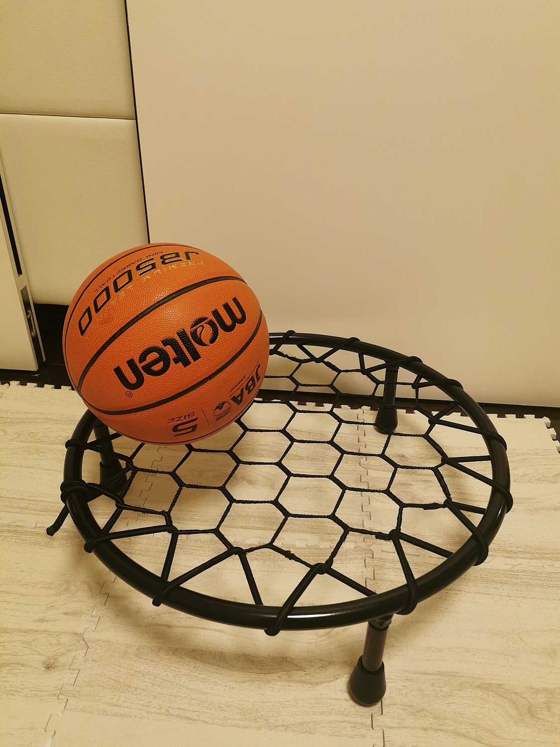 バスケットボール用 ドリブルネット TIGORA basketball - バスケットボール