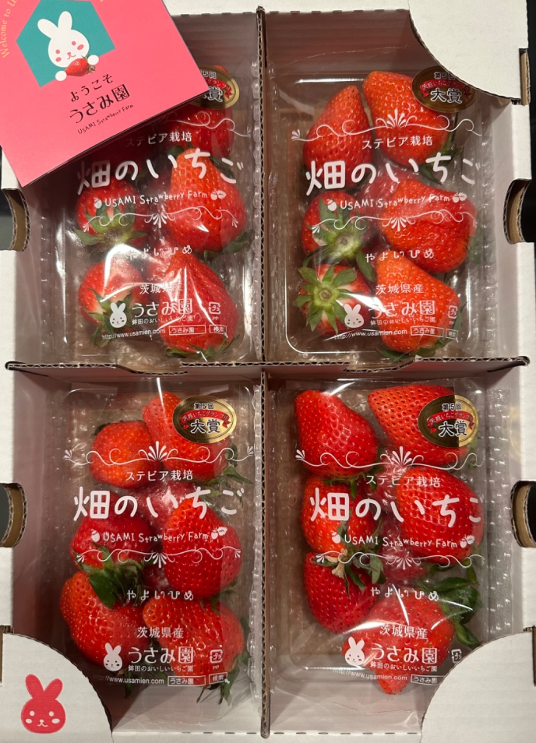 楽天市場】【ふるさと納税】 先行予約 いちご 苺 イチゴ やよいひめ 4