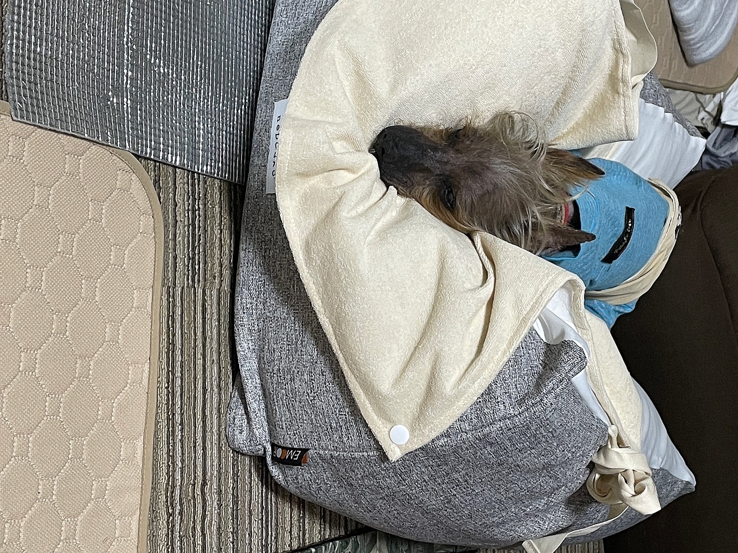 犬介護ベッド ねどっこ 老犬介護 レビュー画像12
