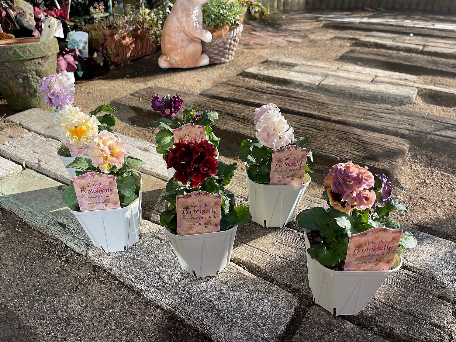 ２個セット　フォンテーン　fontaine　咲き乱れの花版 2個セット フォンテーン fontaine 咲き乱れの花版 Amazon.co.jp