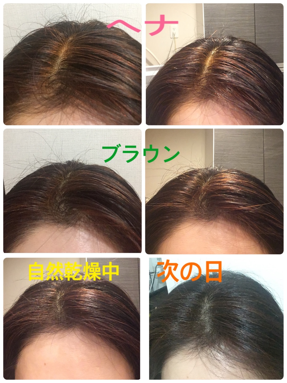 楽天市場】【P5倍】12/11 01:59まで 【初めてでも安心の動画＆ガイド