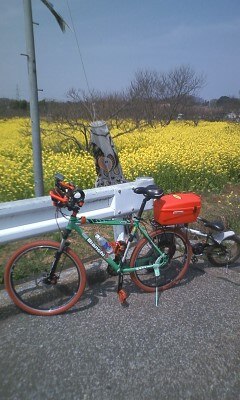 楽天市場 Flinger Sw 906aリアボックス ｐａｌｍｙ 40代 みんなのレビュー 口コミ