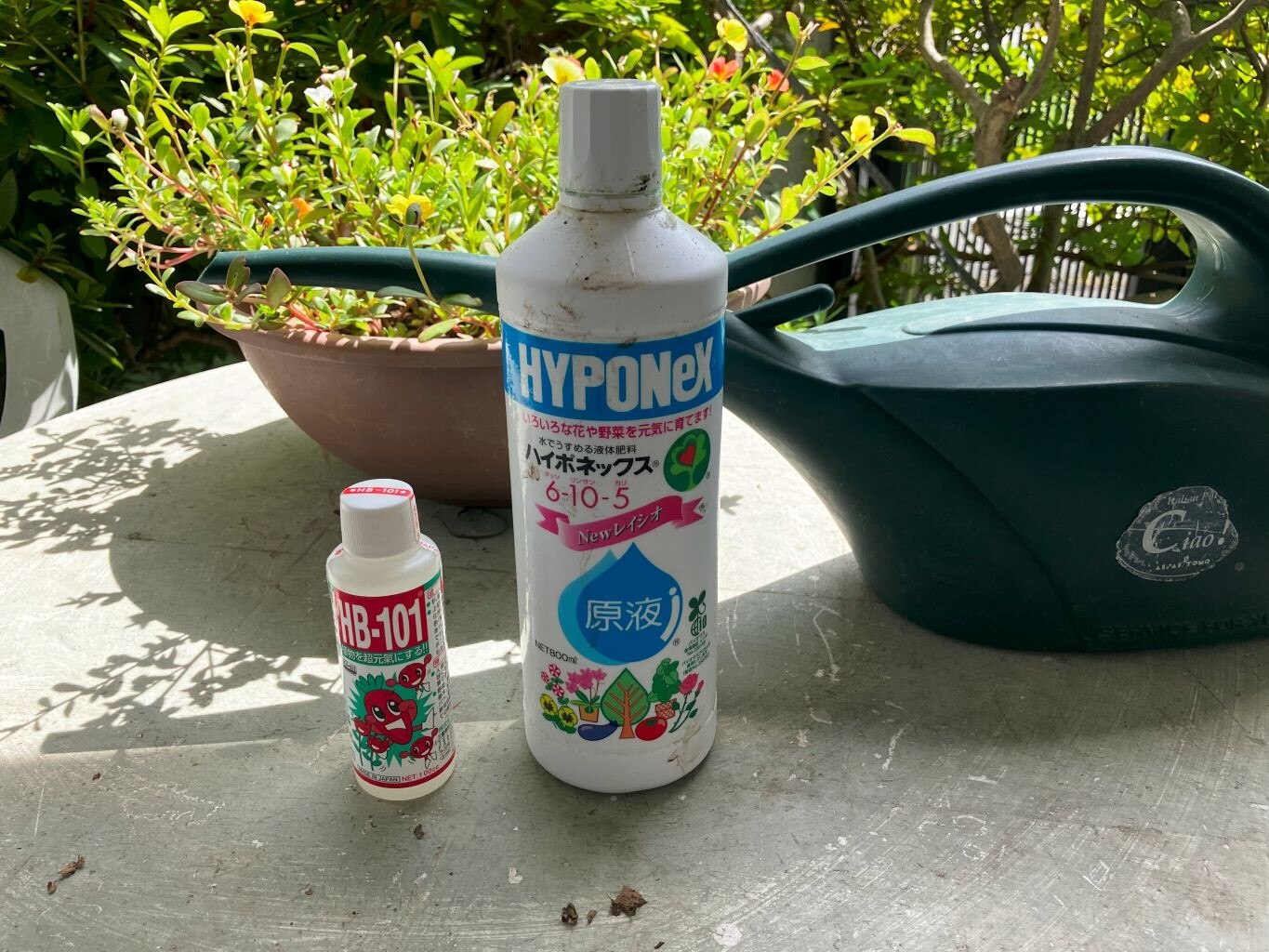 天然活力剤 HB-101 100cc活力剤 植物 活性液 植物活力剤 100ml フローラ HB101 花 植物活性剤  HB101 植物活力剤 天然活力剤 レビュー画像4