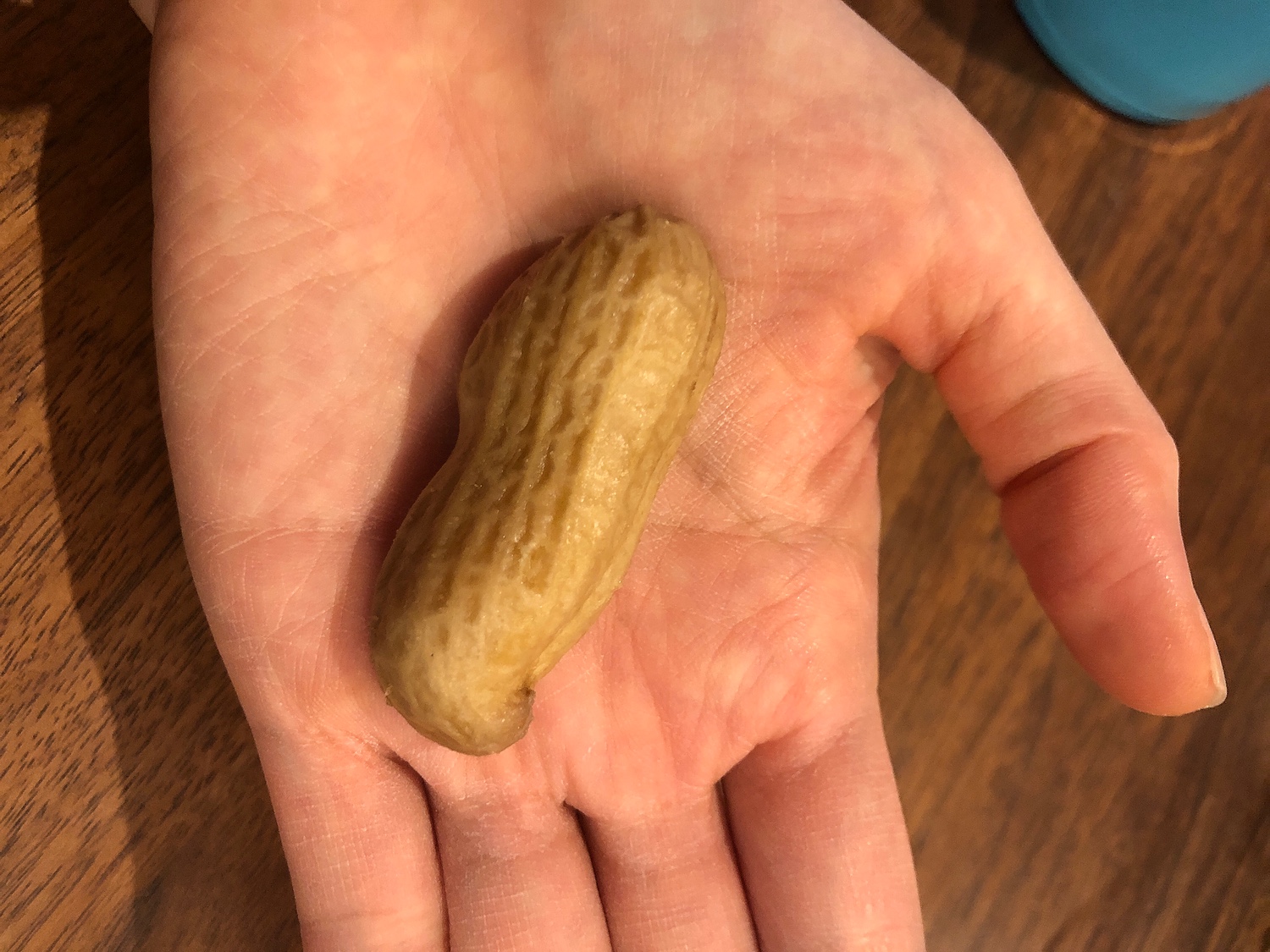 でおすすめアイテム。 ふるさと納税 富士宮市 名物 ジャンボゆで落花生 おおまさり