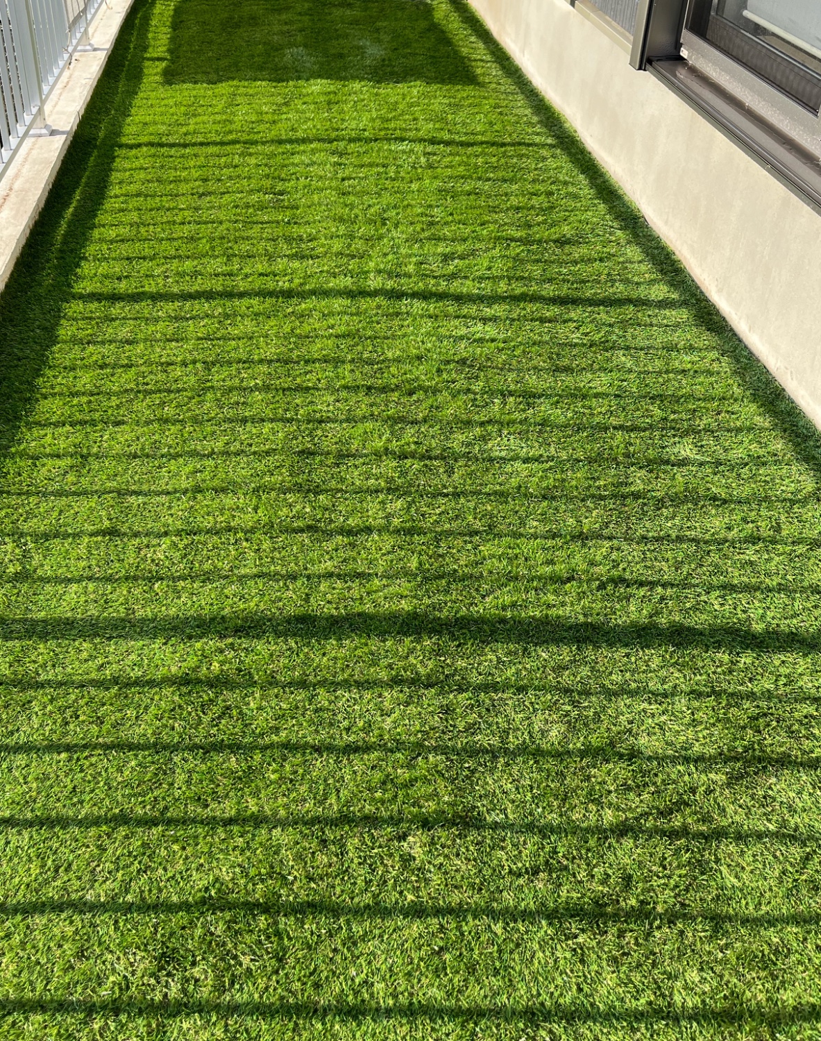 楽天市場】楽天1位 人工芝 芝丈35mm 高耐久 1m×10m 2m×10m [単品