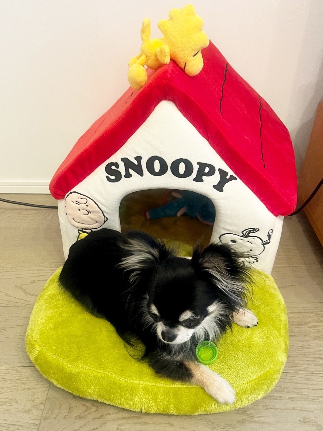 スヌーピーハウス 犬用ベッド ペットパラダイス レビュー画像4