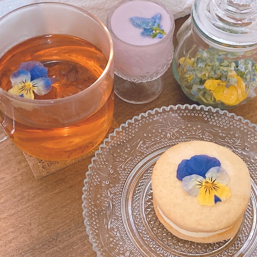 楽天市場 エディブルフラワー ドライ ビオラ 食用花 ケーキ 飾り 花 純国産 1000円 ポッキリエディブルフラワー 食用花 ビオラ ミックス 11枚入 ドライ 送料無料 押し花 メール便 雑貨屋 Hocoro ホコロ みんなのレビュー 口コミ