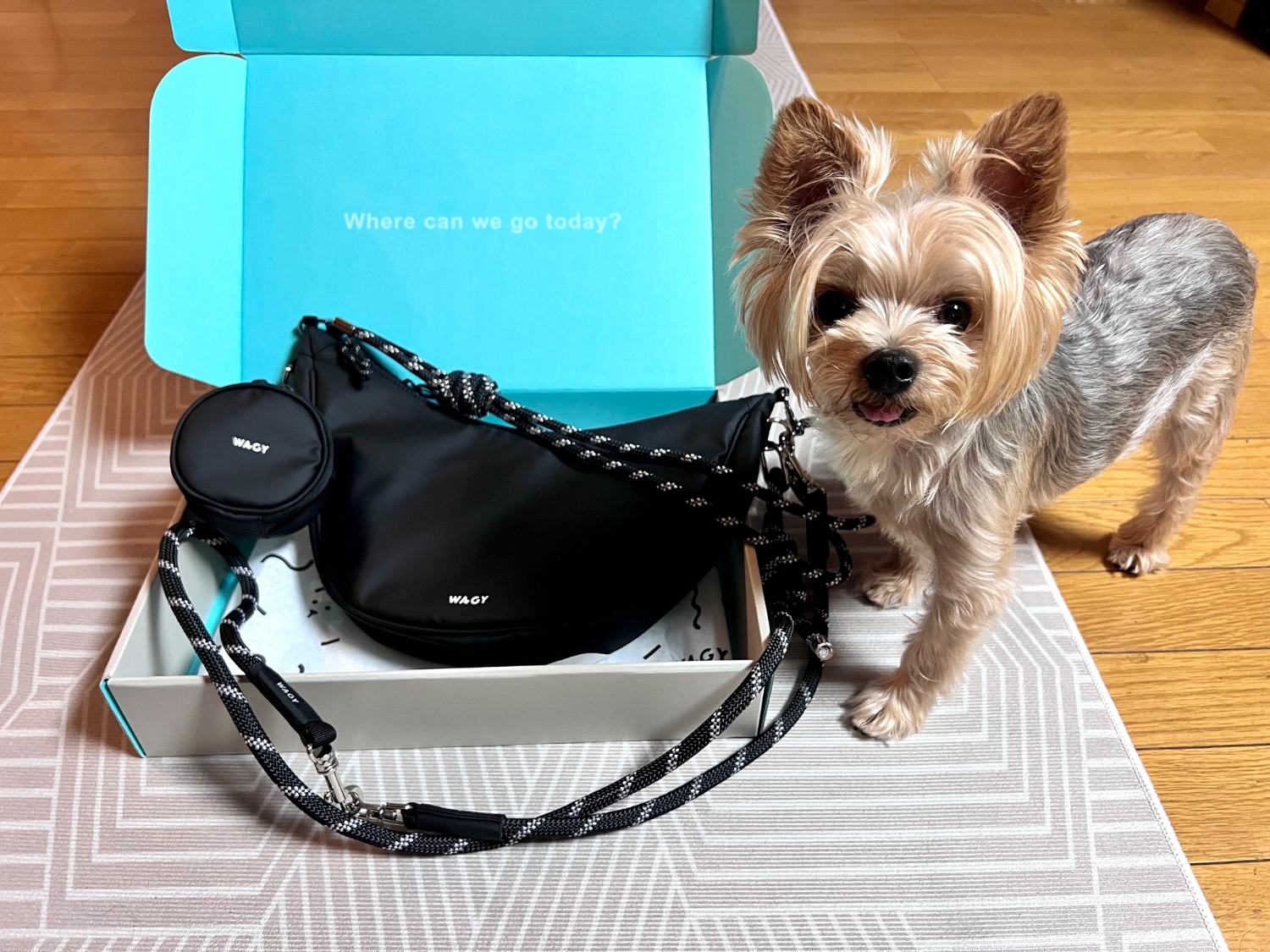 WAGY SHOULDER LEAD BAG | リード付きお散歩バッグ