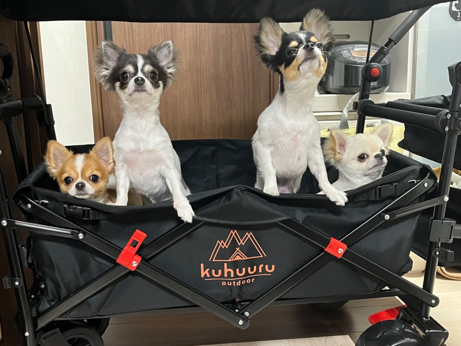 キャリーワゴン アウトドアワゴン 屋根付きワゴン レビュー画像5