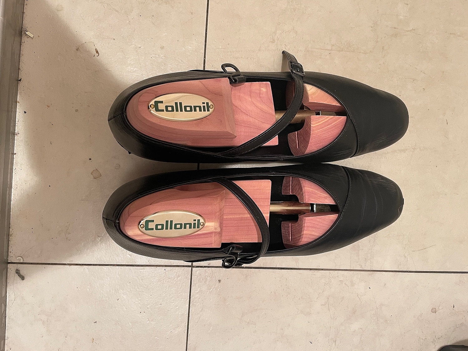楽天市場】シューキーパー 木製 コロニル Collonil シダーキーパー