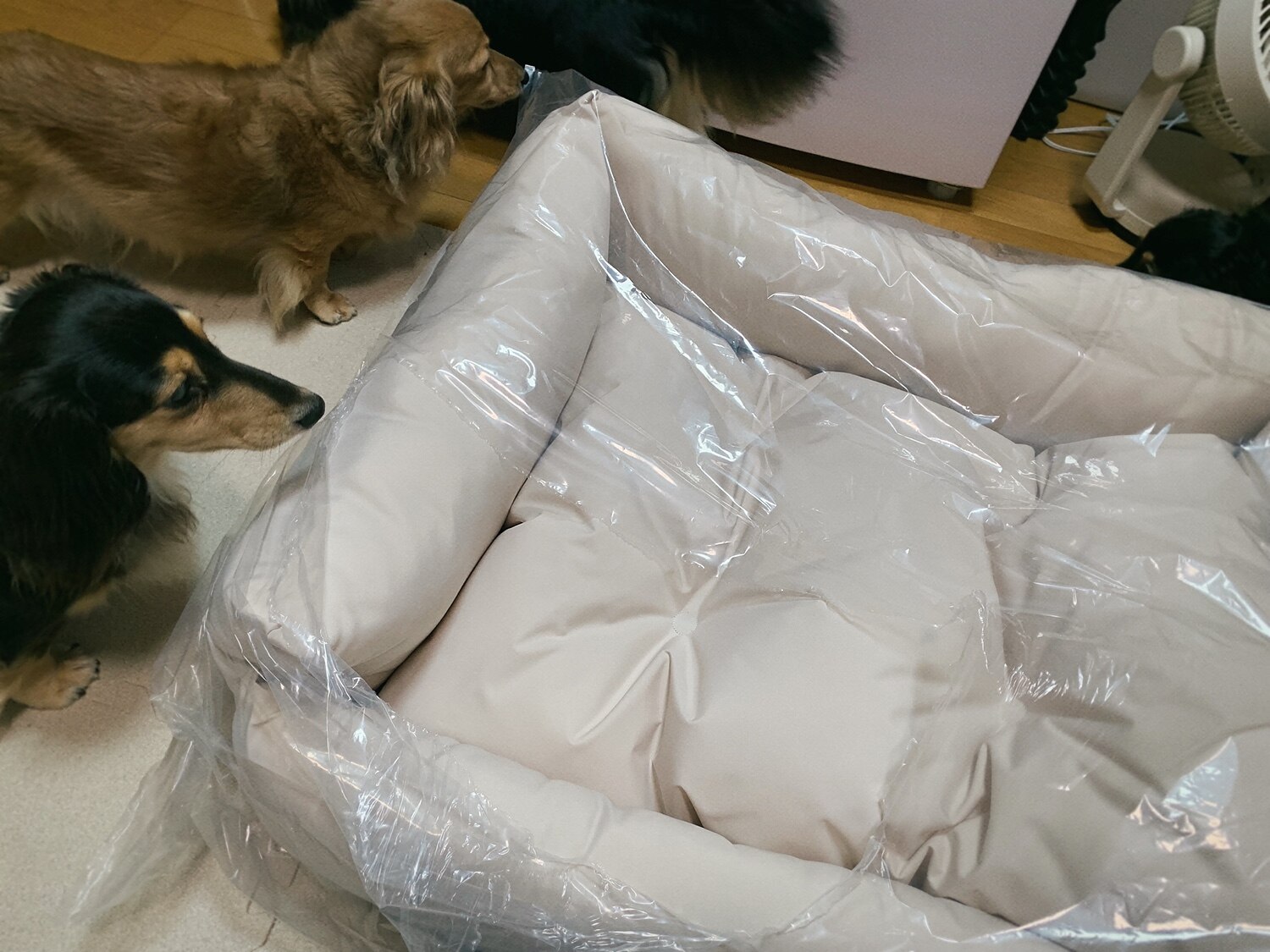 犬に噛まれてボロボロで原型止めてません - トップス 