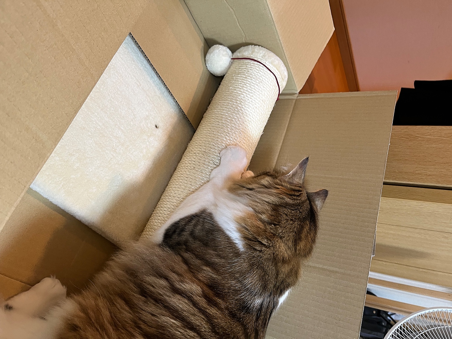  PET PINA 猫 爪とぎポール 極太 ロング 本体 おもちゃ 11点セット 麻巻き 据え置き 直径 14cm 高さ 80cm 幅 41cm 