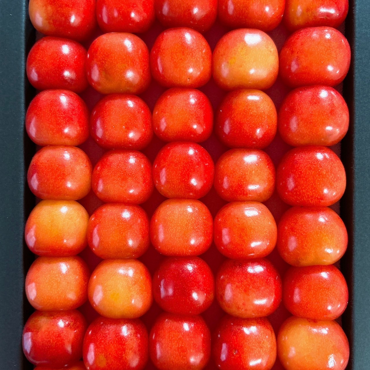 cyyyyyyaa　紅秀峰２Ｌ　一キロクール便　宮城 51r1Cpdkb+L._UF350,350_QL80_.jpg