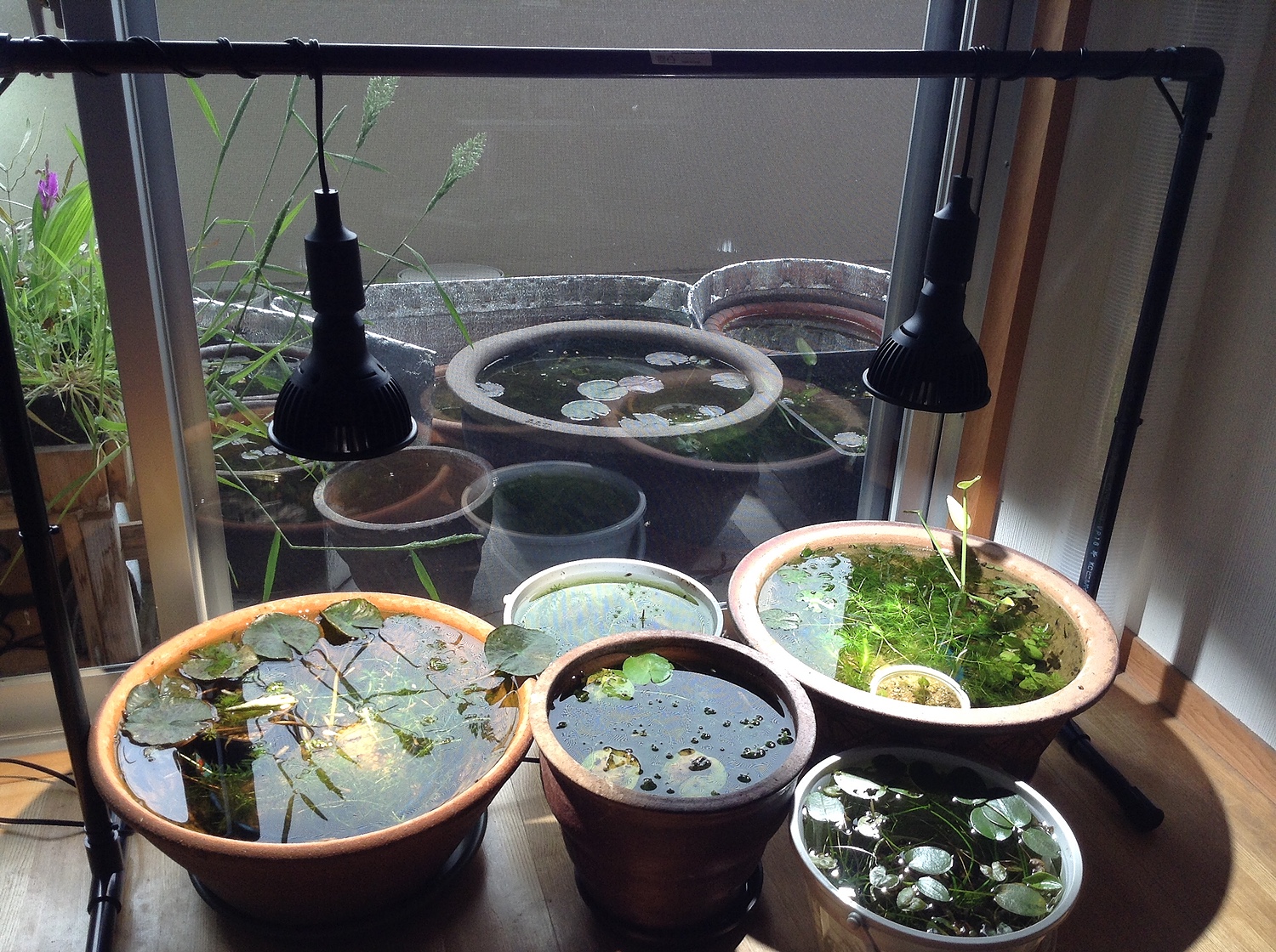 植物育成ライトセット HaruDesign  Light STAFF VA 4K HaruDesign 植物育成LEDライト Light STAFF VA 4K McW 暖色系