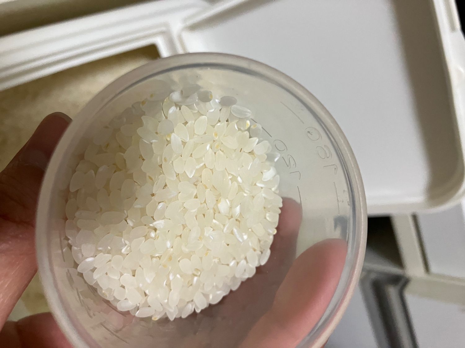 飼料用（砕け米）　25キロ 砕米 25kg エサ米 えさ米 クズ米 くず米 飼料米 割れ 砕け