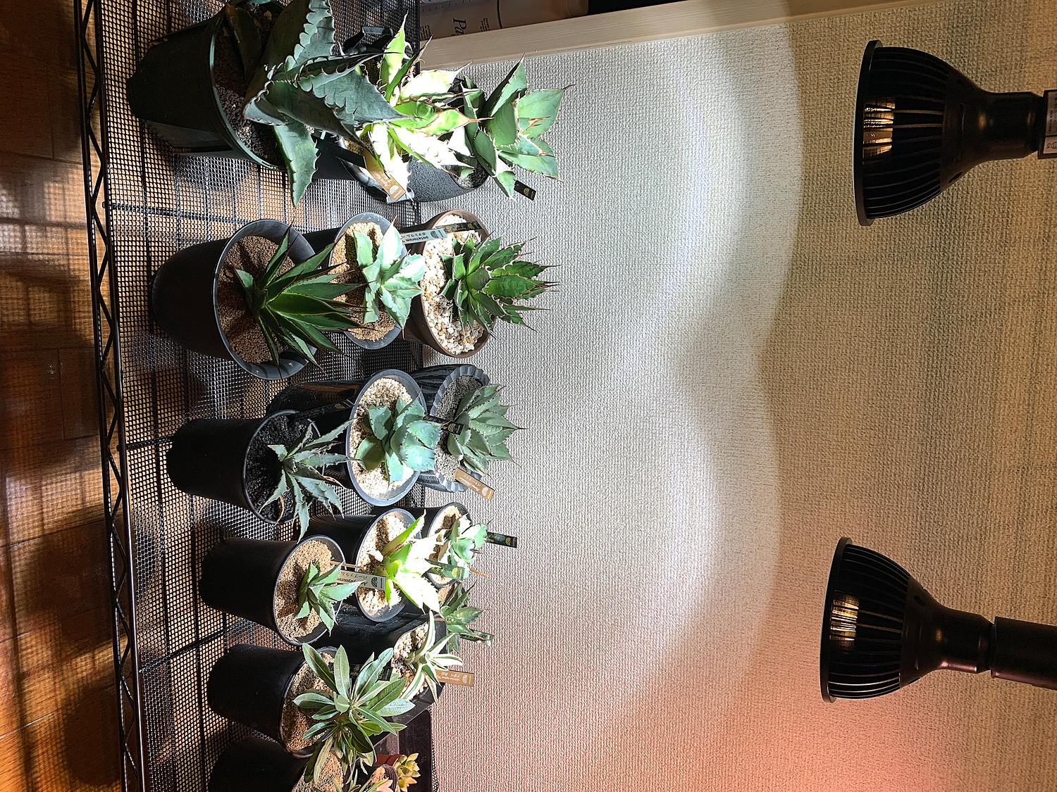 HaruDesign 植物育成LEDライト HASU38 spec9 6K 白色 - ライト・照明器具