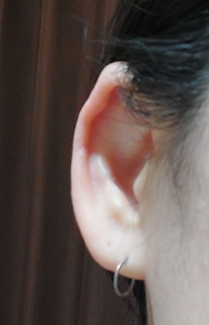 楽天市場 ボディピアス g 18g 16g 14g ボディーピアス シンプル ワンタッチリング ボディピ セグメントクリッカー 軟骨ピアス ワンタッチピアス つけっぱなし ピアス ボディ フープピアス 金属アレルギー 対応 セカンドピアス フープ キャッチレス 1個売り オマケ