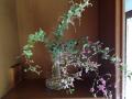 ֡57ʹ59ޤǤȯۡں߸˸¤ۥۥ६ / ե ١ 24cm[Holmegaard Flora ]פξʥӥ塼ܺ٤򸫤