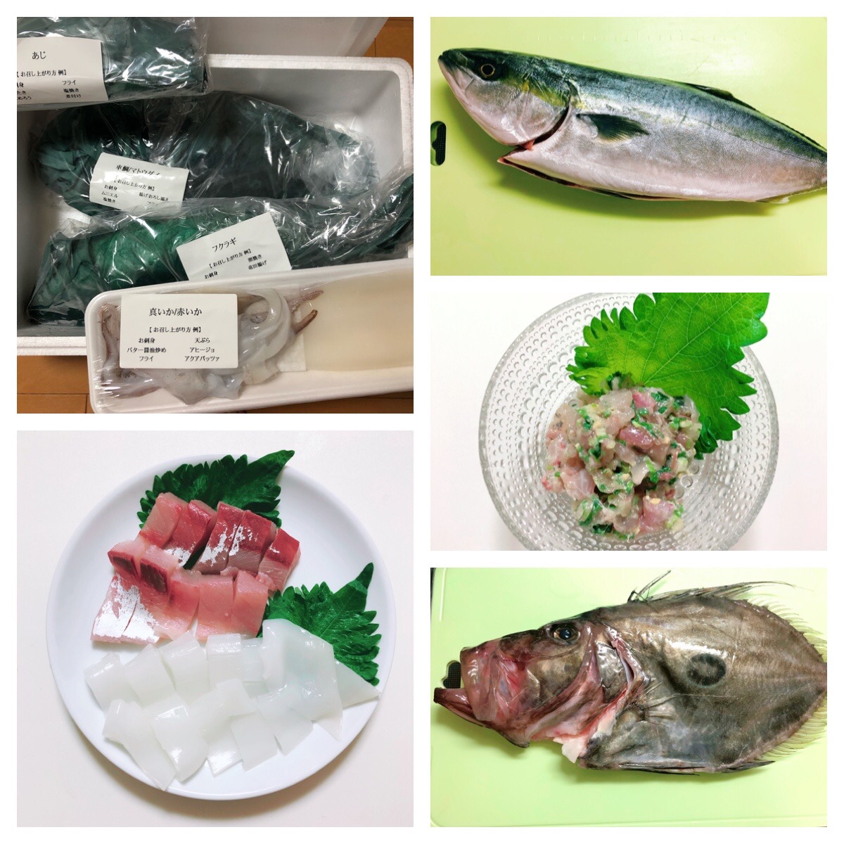 楽天市場 朝獲れおまかせ鮮魚セット5000円コースウロコ 内臓 エラ処理済み 3種以上 詰め合わせ 冷蔵便 美味食卓さくだ屋 みんなのレビュー 口コミ