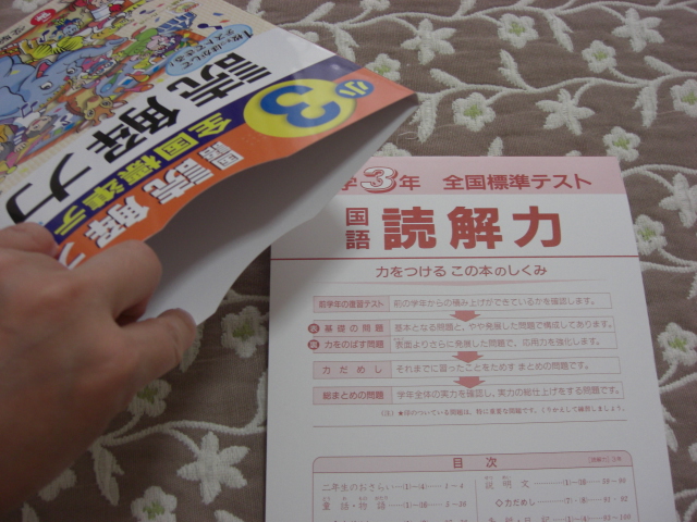 人気 小学3年 送料無料 中古 全国標準テスト国語読解力 その他 Www Williamssound Com