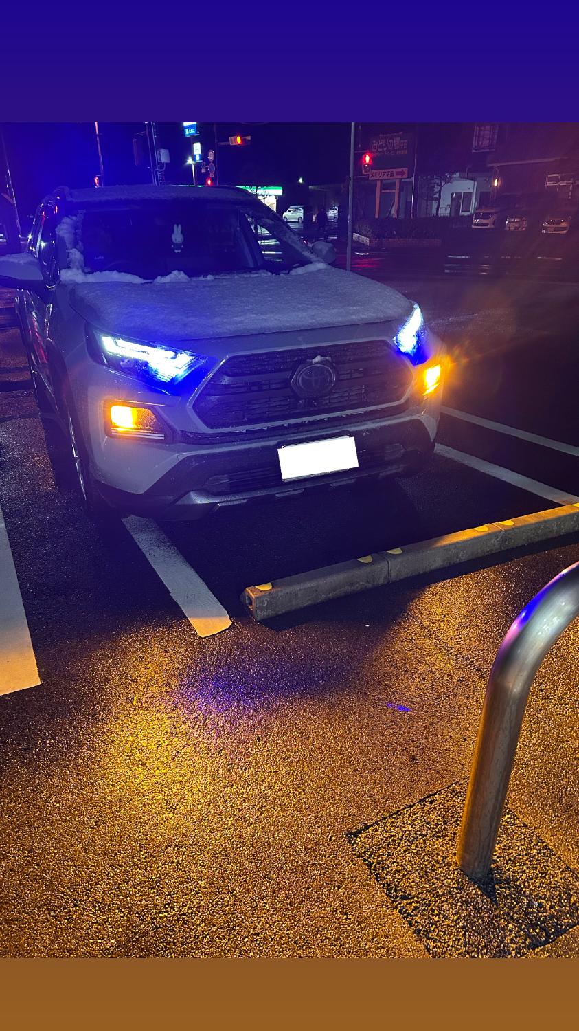 購入者レビュー写真