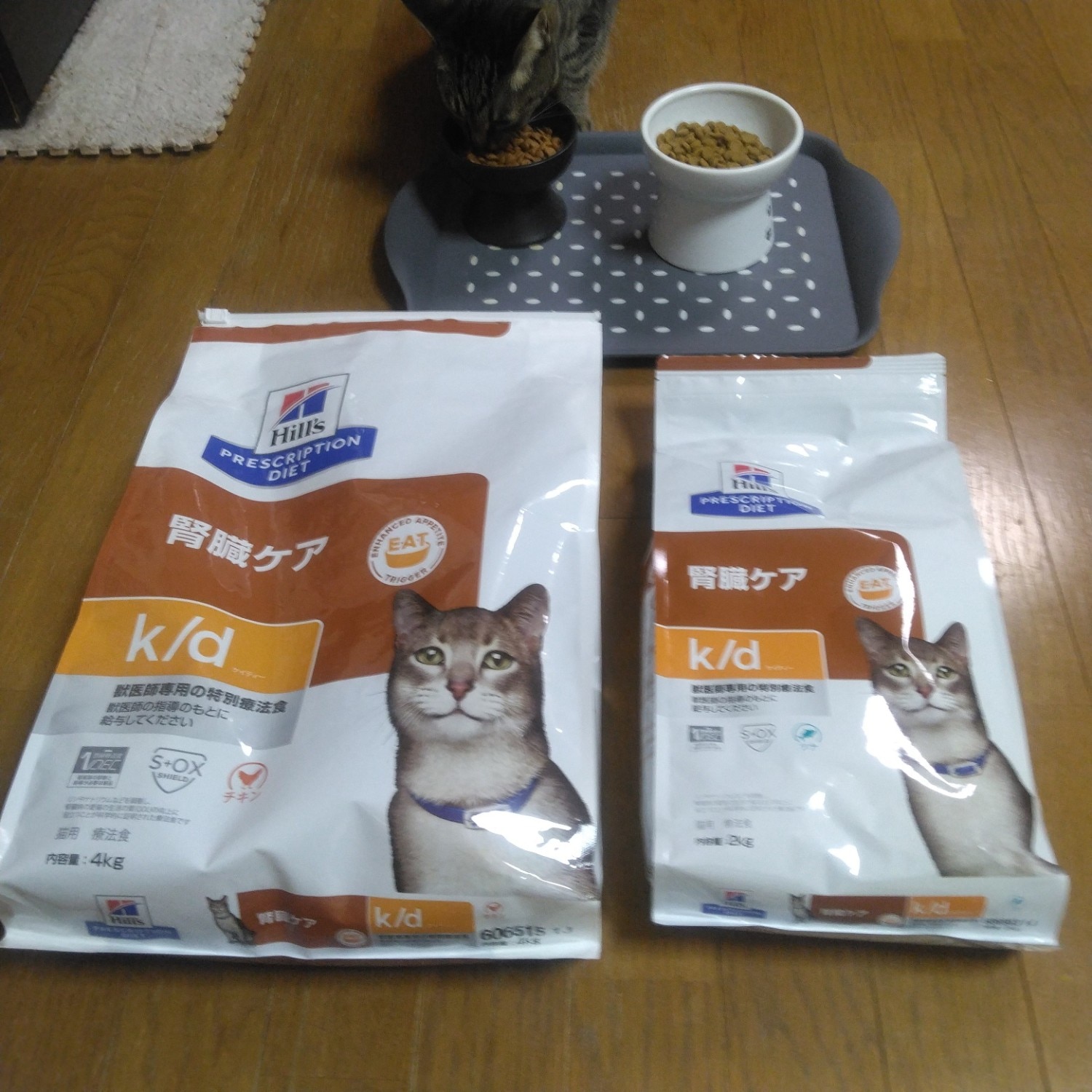 ヒルズ　腎臓ケアk/d 　Hill's k/d　4kg　4キロ　猫 Hills ヒルズ k/d 4kg-猫用-のレビュー・口コミ - Yahoo!ショッピング