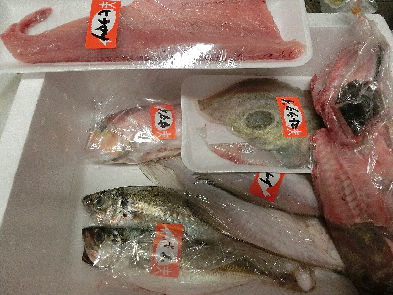 楽天市場 ご自宅用 鮮魚 その他 忙しくないときのみ 期間限定 おまかせ鮮魚 山陰とれたて日本海おかとみ