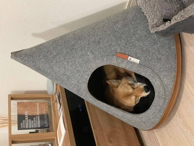 楽天市場】NOOEE PET どこでもおうちテント グレー S/M ドッグテント
