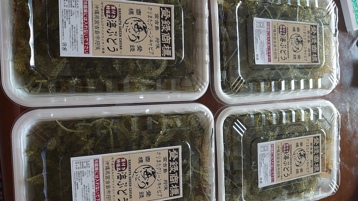 楽天市場】【茎付き 1キロ】250g×4箱 250gにタレ2P 登録商標 海ぶどう 茎が多いB品です 1キロ 沖縄 宮古島 海ぶどう 直送 池間島  登録商標 送料無料 うみぶどう 海葡萄 1kg 1K(沖縄 宮古島の青と心) | みんなのレビュー・口コミ