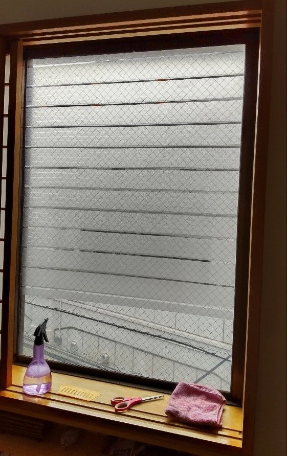 楽天市場 ガラスフィルム 窓 目隠しシート 台風 対策 断熱 遮光 遮熱 飛散防止 はがせる 紫外線カット 目隠しフィルム 装飾 曇りガラス 西日 結露防止 プライバシー対策 ステンドグラス 透明 Uvカット フィルム シート 日よけ 窓ガラス フィルム Takumu Hommalab楽天