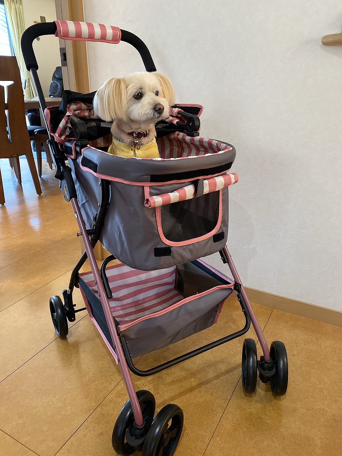 リッチェル ペットカート エルフィP 超小型犬 小型犬 猫用 ペット