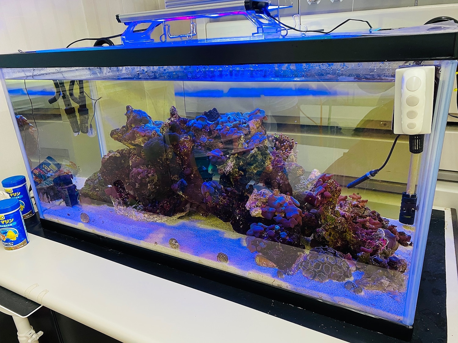 ９０センチ水槽 ガラス水槽　鈴木製作所　幅90奥行き45高さ45　１８０リットル　ディスカス　大型魚　金魚　水草　国産品 楽天市場】90センチ水槽 ガラス水槽 鈴木製作所 幅90奥行き45高さ45