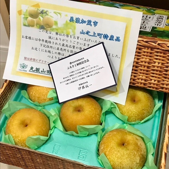 ふるさと納税 美濃加茂市 【先行受付】「丸坂山田農園」山之上梨1箱 (豊水2.5kg程度)(2023年発送) 