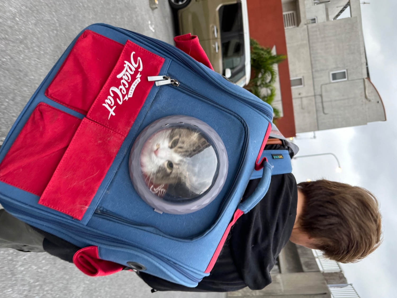ペットキャリーリュック 宇宙船キャリー 猫キャリーバッグ レビュー画像7