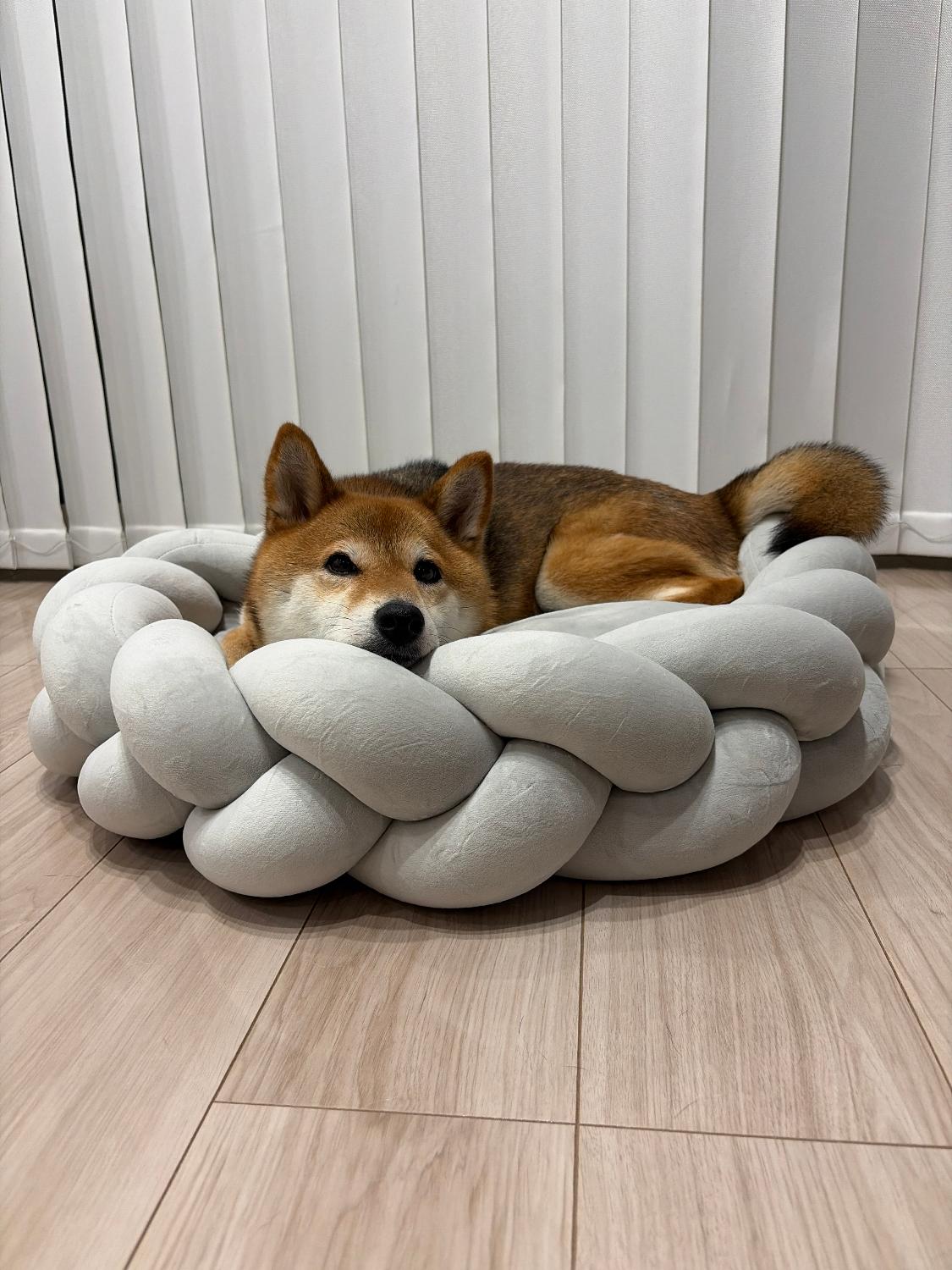楽天市場】【期間限定10％オフ】犬 ベッド ドッグベッド Suuu公式 北欧