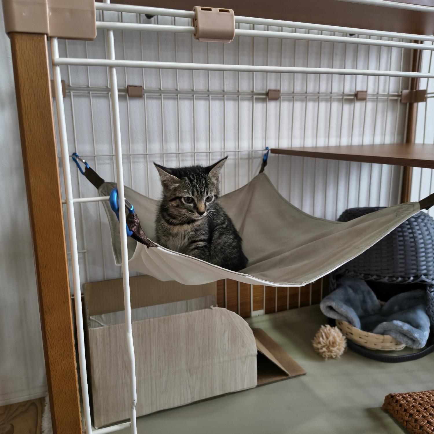 楽天市場】猫 ケージ 3段 2段 木製 キャスター スライドドア ワイド