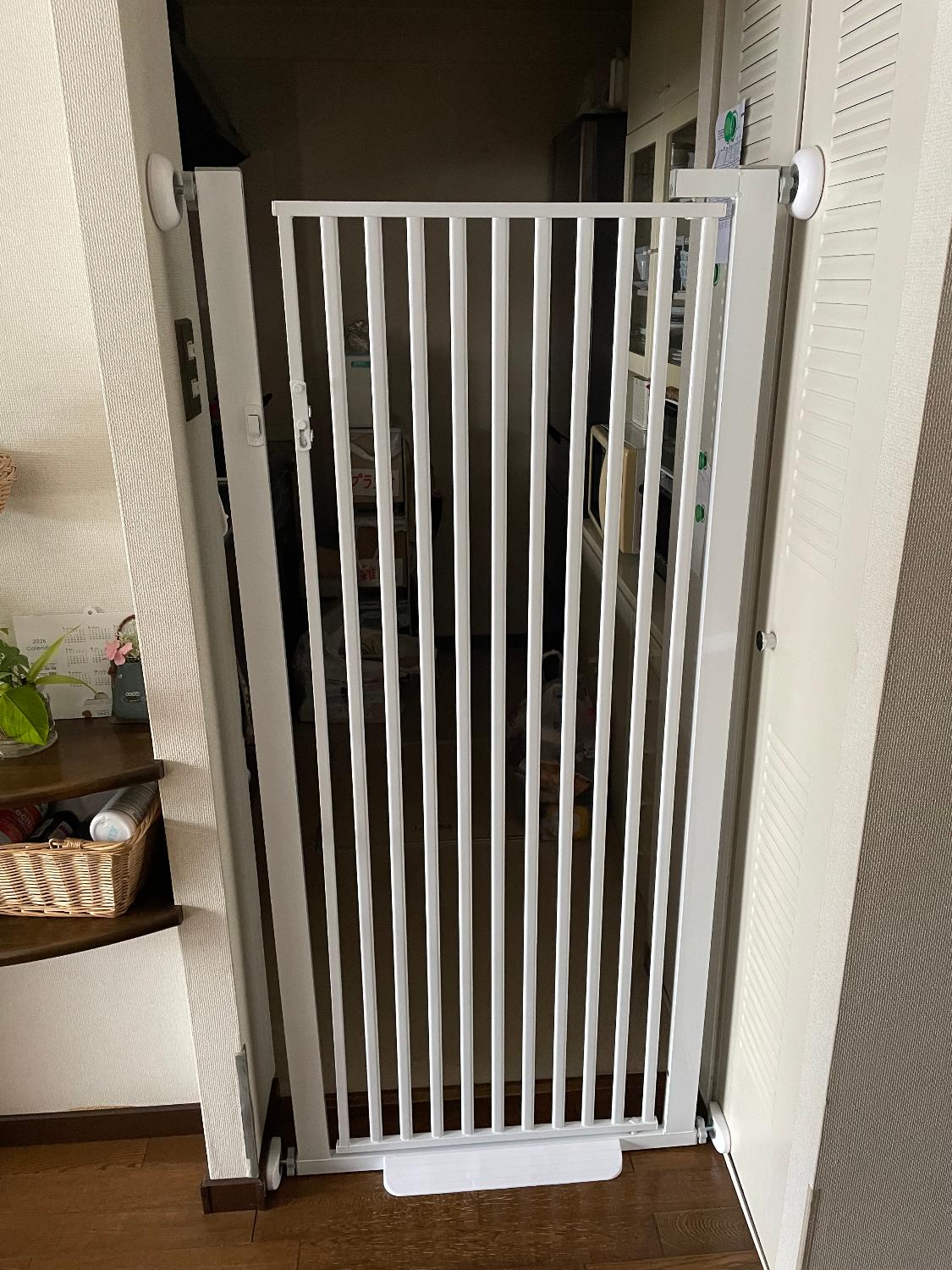 楽天市場】【P2倍!2000円OFFクーポン!】 【にゃんゲート】 LIFAXIA