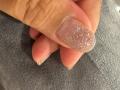 ֡ڸN Basic Nails no.3NBS-003 ohora gelnails nail ۡ ͥ ͥ ͥ륷 եͥ ͥ륹ƥå ͥ ͥǥ ͥ륷 ͥ륹ƥå ͥ륪 ͥѡ ͥå 顼פξʥӥ塼ܺ٤򸫤