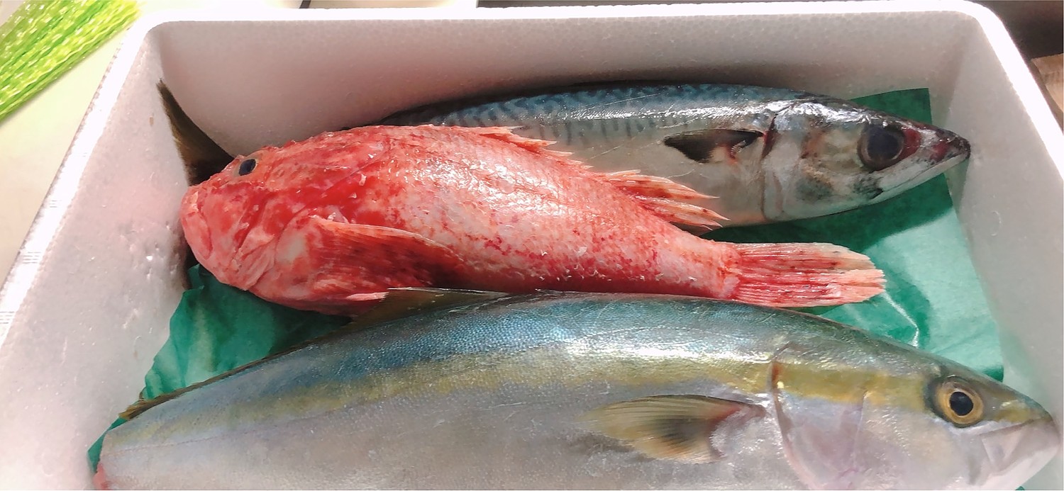 楽天市場 朝獲れおまかせ鮮魚セット5000円コースウロコ 内臓 エラ処理済み 3種以上 詰め合わせ 冷蔵便 美味食卓さくだ屋 みんなのレビュー 口コミ
