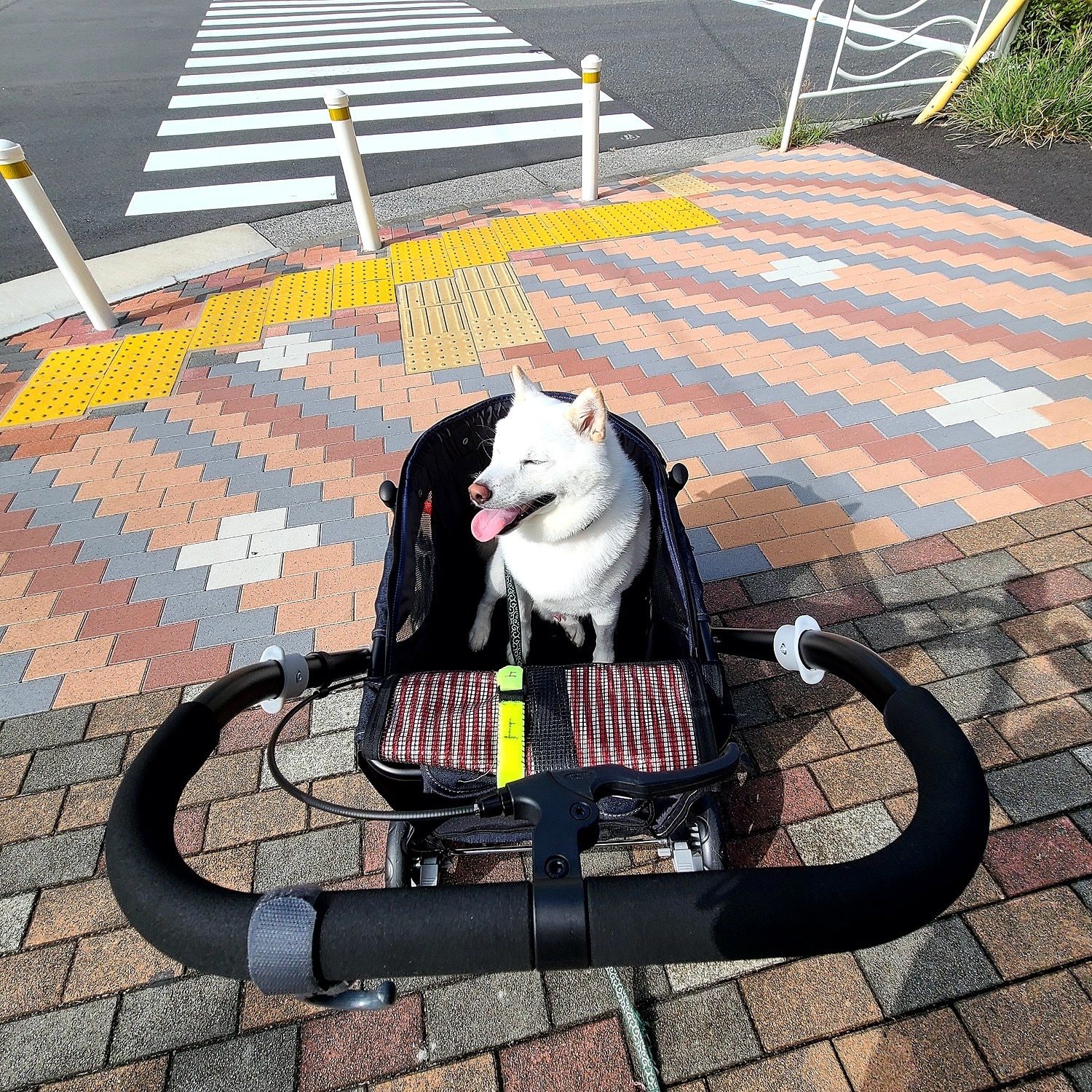 楽天市場】【最大400円オフクーポン※要エントリー&最大1万円オフ